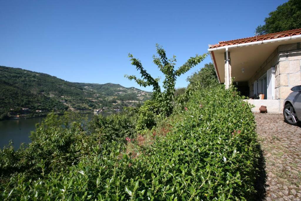 Douro Valley - Casa Do Campo Resende Covelas  ภายนอก รูปภาพ
